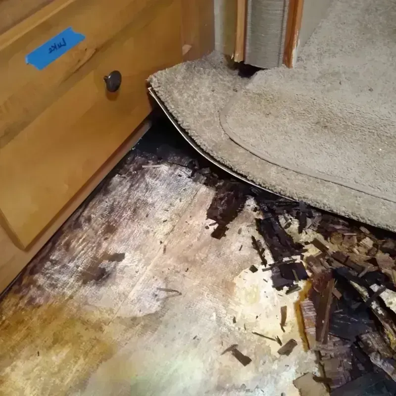 Best Wood Floor Water Damage Service in South Peabody, MA